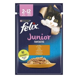 FELIX FANTASTIC JUNIOR ЗА КОТКА ПИЛЕ 85ГР
